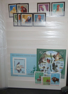 Ptaki na znaczkach - zz - nie posortowane